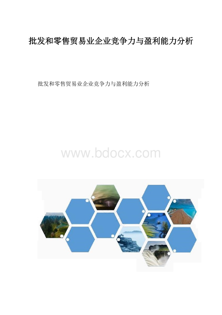 批发和零售贸易业企业竞争力与盈利能力分析.docx