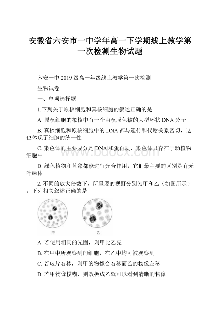 安徽省六安市一中学年高一下学期线上教学第一次检测生物试题.docx