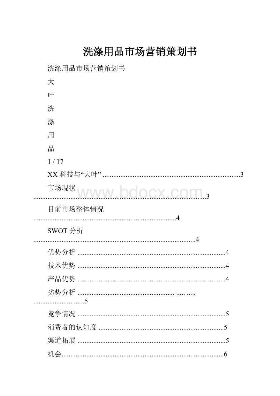 洗涤用品市场营销策划书.docx