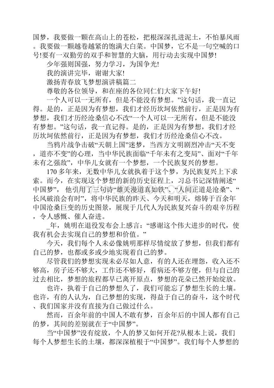 激扬青春放飞梦想演讲稿范文600字.docx_第2页