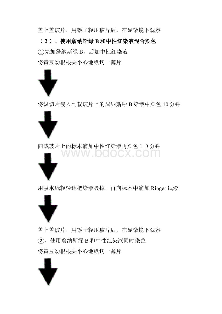 实验2 线粒体和液泡系的超活染色与观察学习资料.docx_第3页