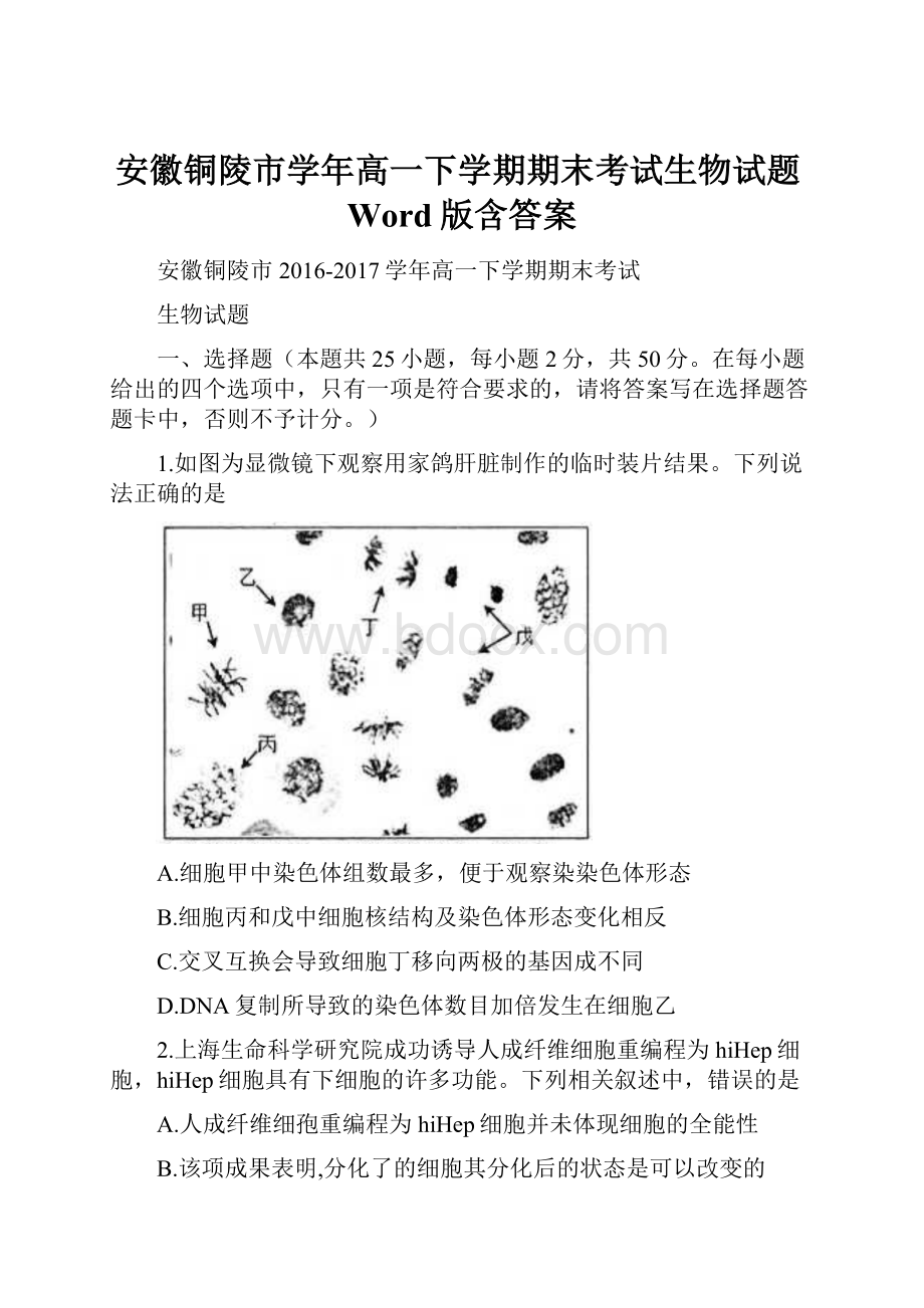 安徽铜陵市学年高一下学期期末考试生物试题Word版含答案.docx_第1页