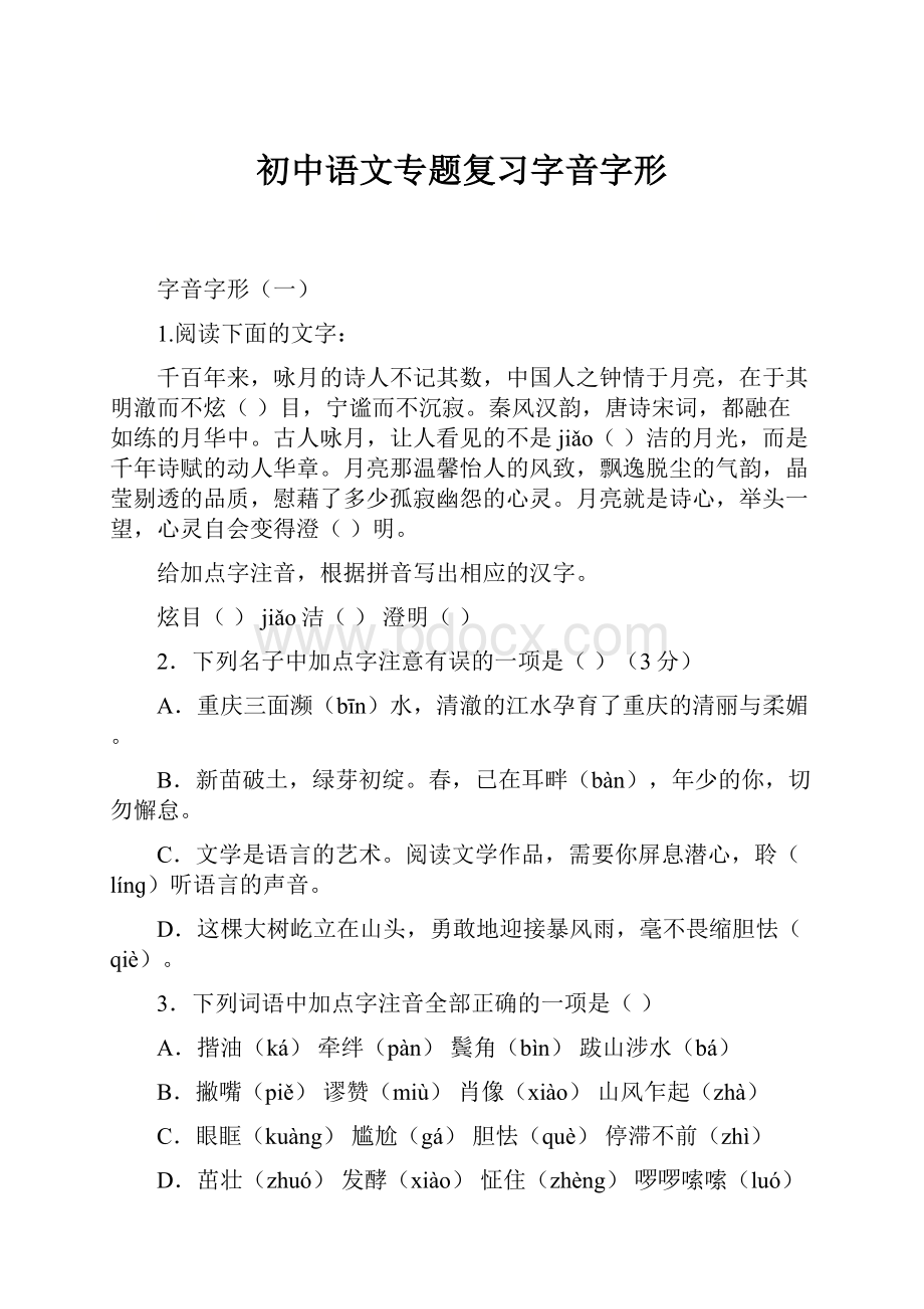 初中语文专题复习字音字形.docx