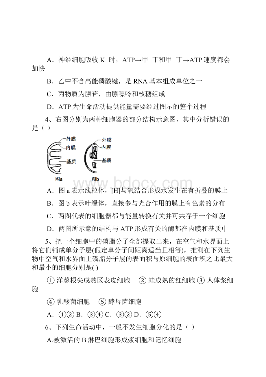 江西五校江西师大附中临川一中鹰潭一中宜春中学新余四中届高三第一次联考 生物 Word版含答.docx_第2页