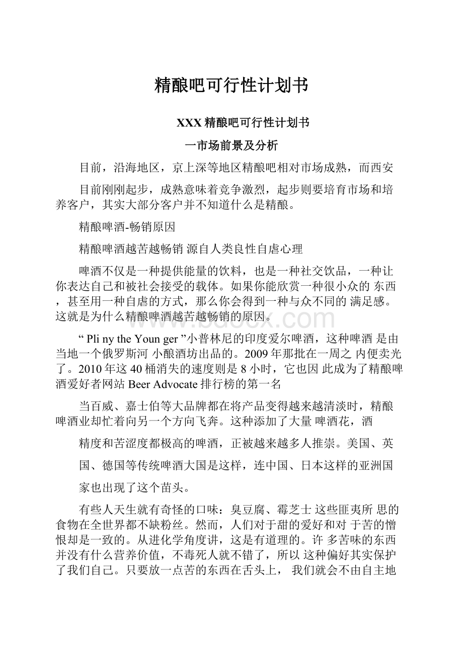 精酿吧可行性计划书.docx