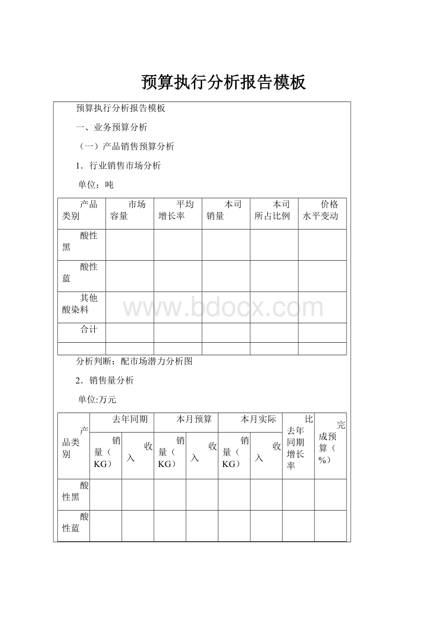 预算执行分析报告模板.docx_第1页