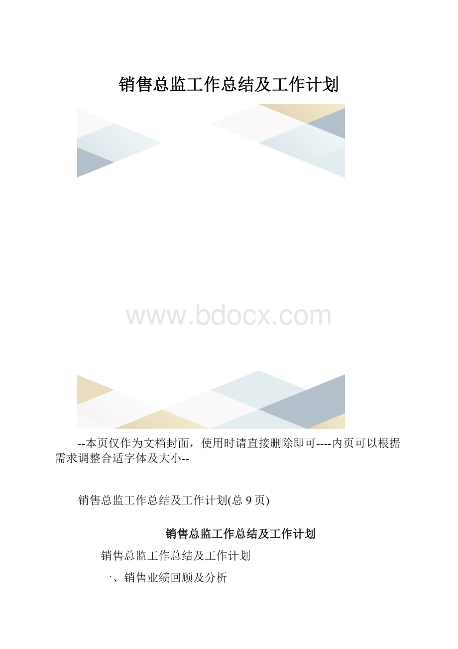 销售总监工作总结及工作计划.docx