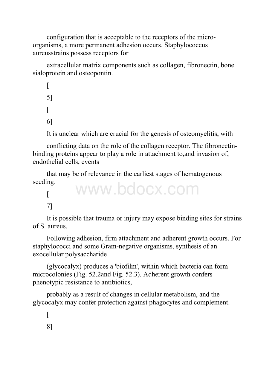 骨髓炎英文教科书.docx_第3页