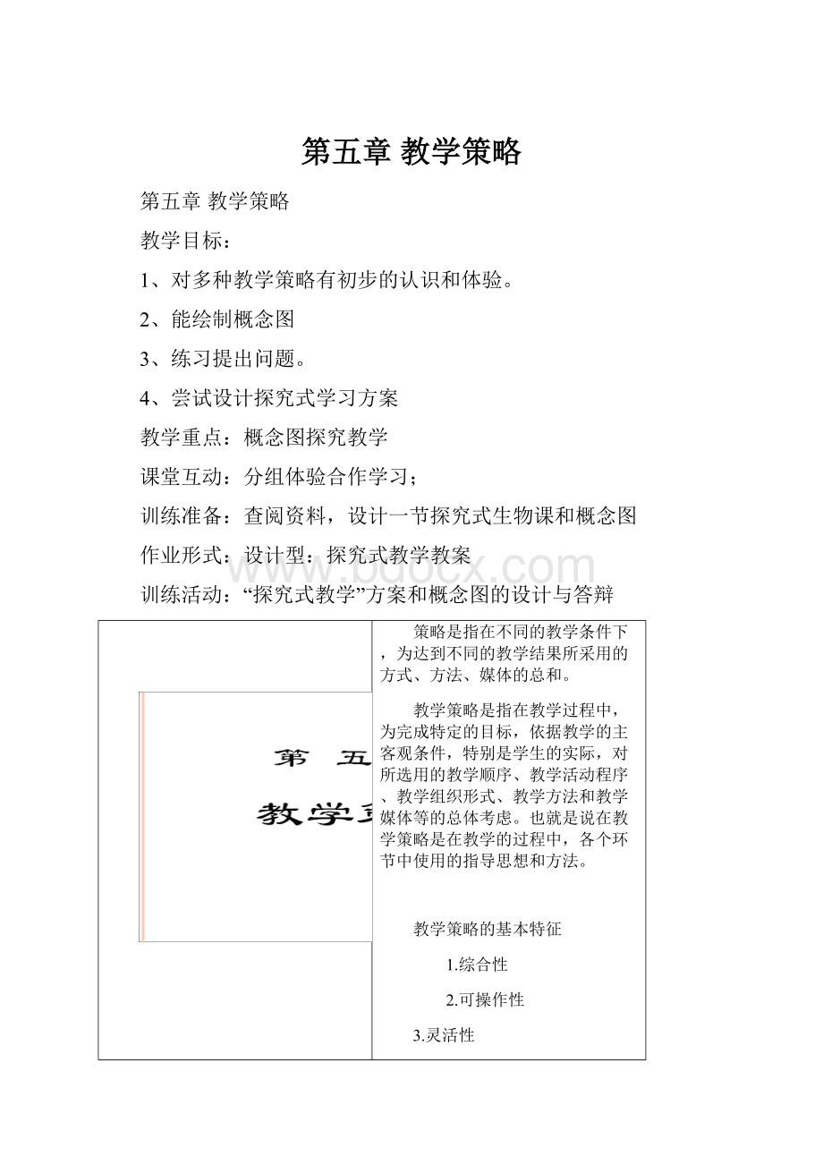 第五章 教学策略.docx_第1页