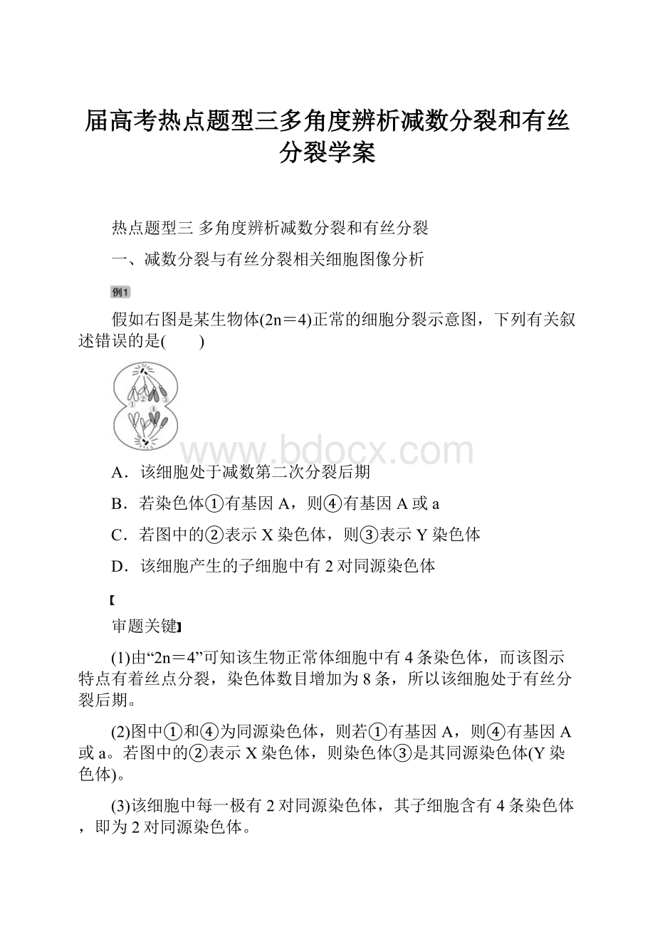 届高考热点题型三多角度辨析减数分裂和有丝分裂学案.docx