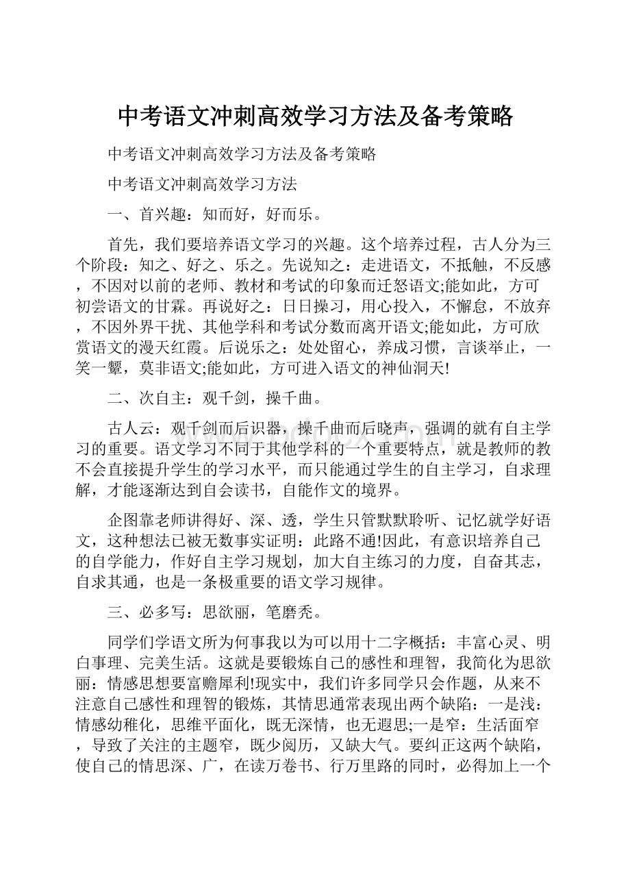 中考语文冲刺高效学习方法及备考策略.docx