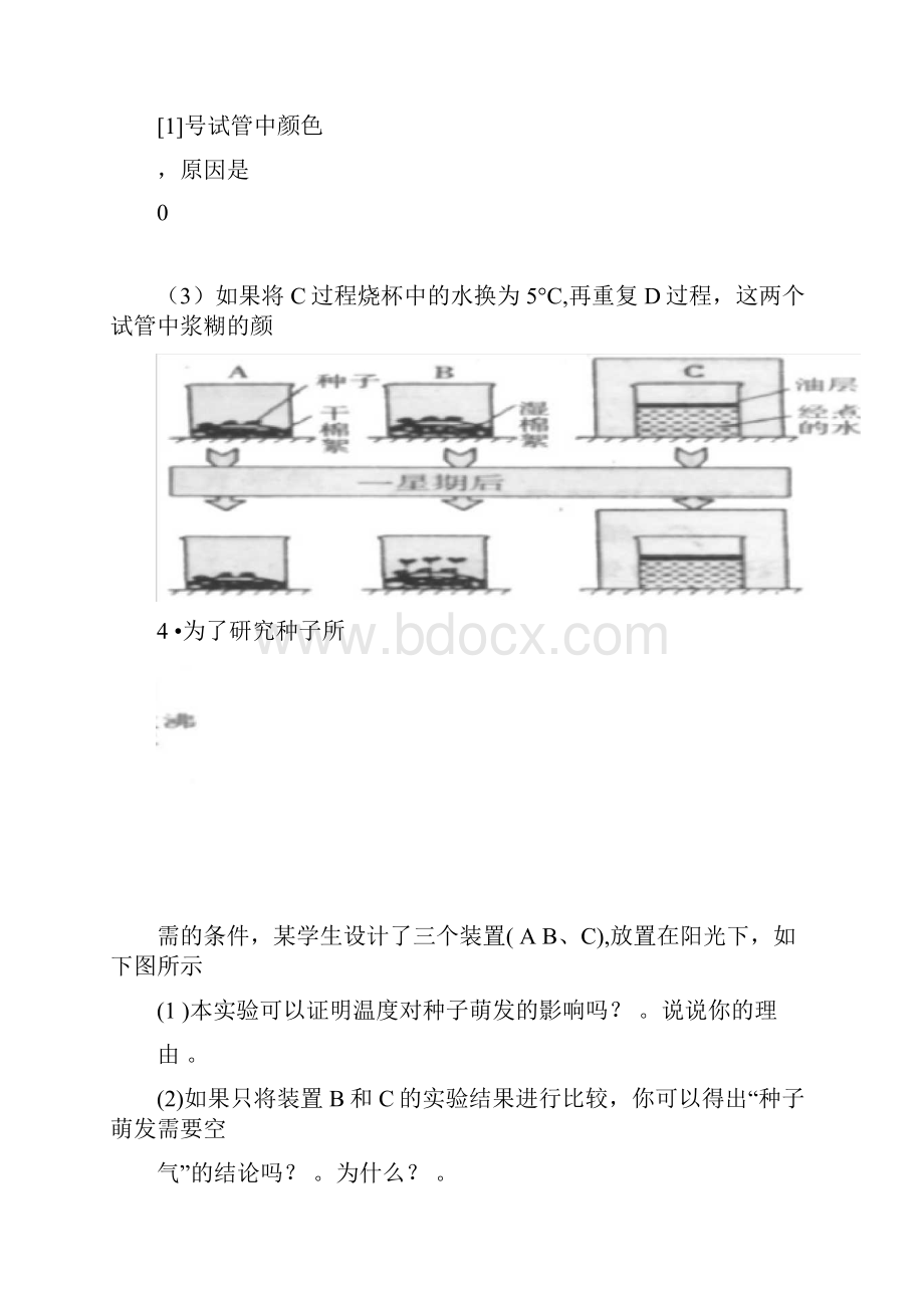 初中生物探究实验题精选.docx_第3页