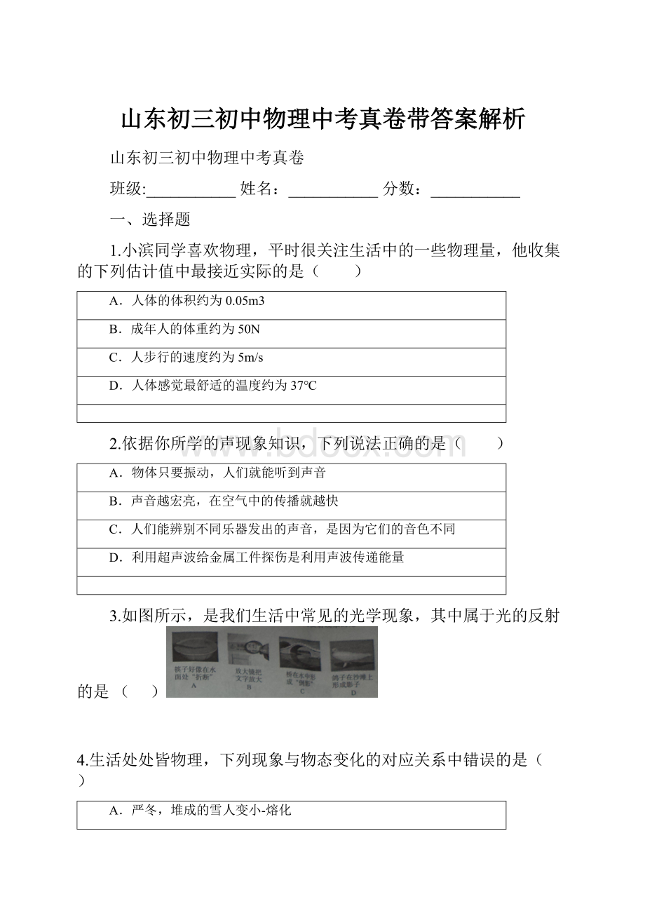 山东初三初中物理中考真卷带答案解析.docx