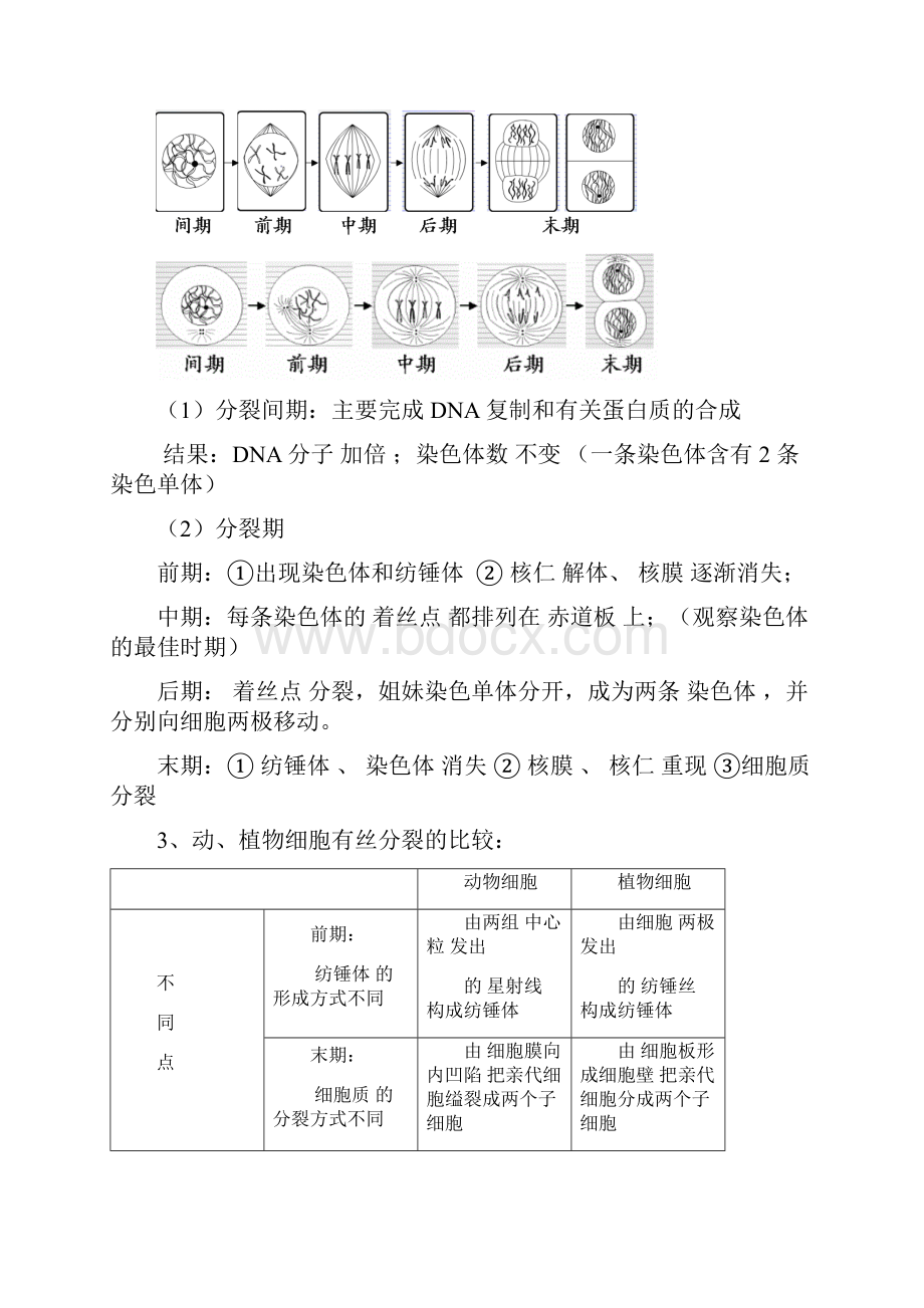 最新高中生物必修二知识点填空含答案0教学内容.docx_第2页