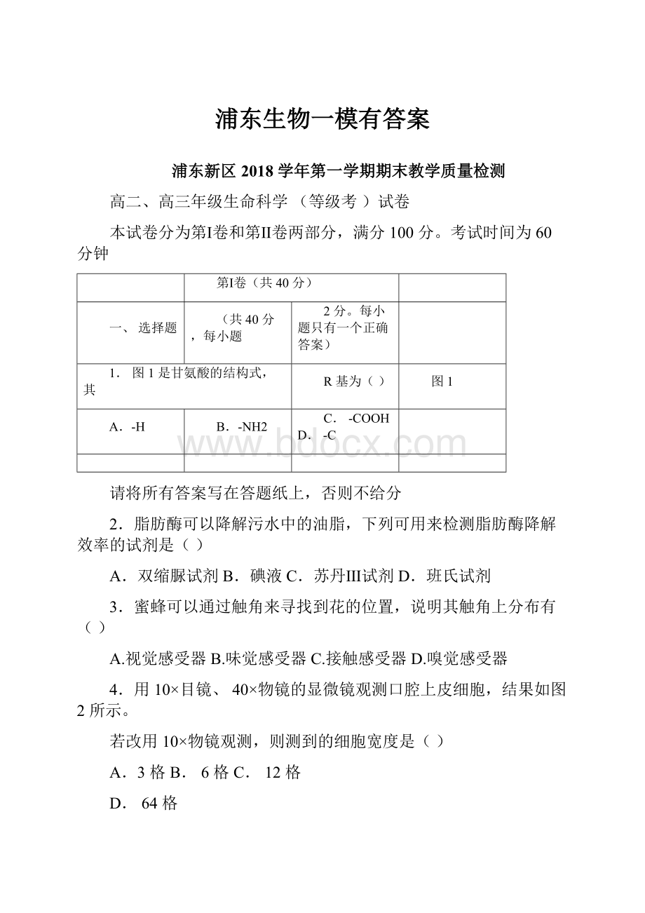 浦东生物一模有答案.docx_第1页