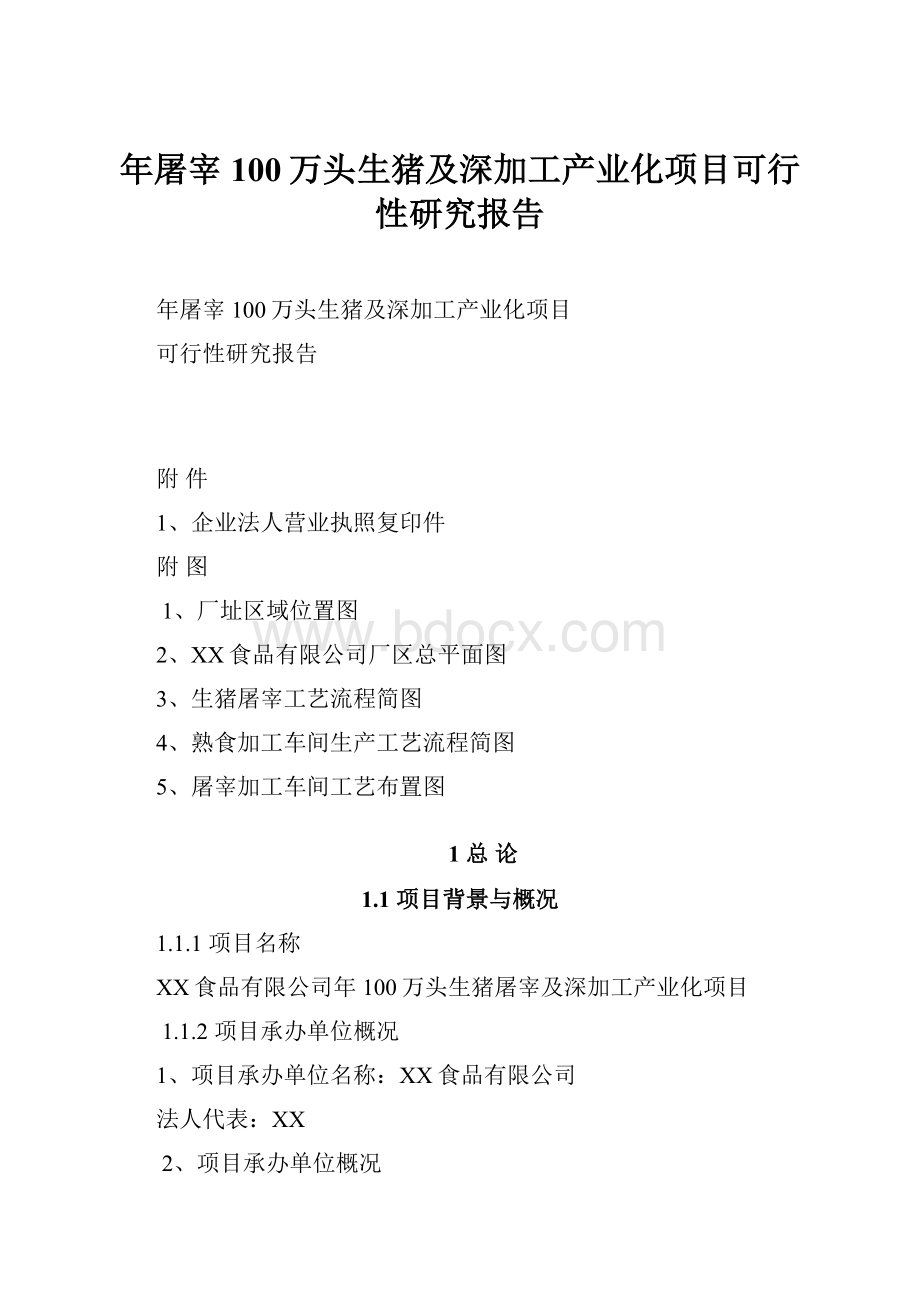 年屠宰100万头生猪及深加工产业化项目可行性研究报告.docx_第1页