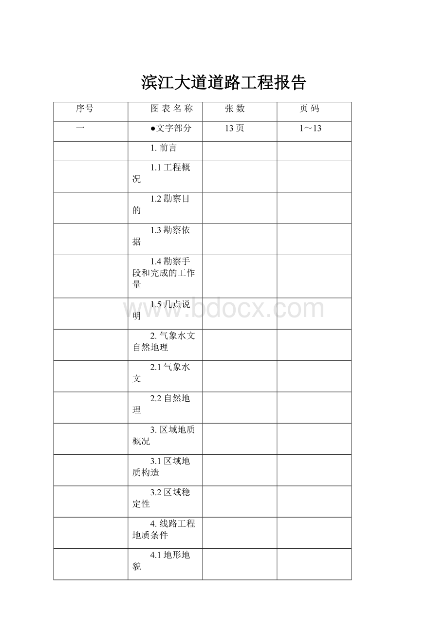 滨江大道道路工程报告.docx