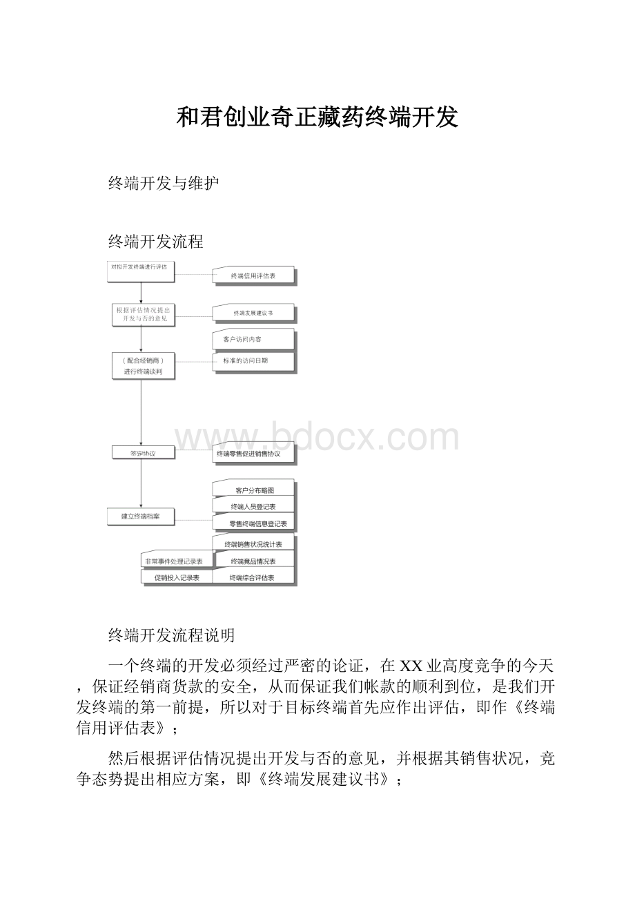 和君创业奇正藏药终端开发.docx_第1页