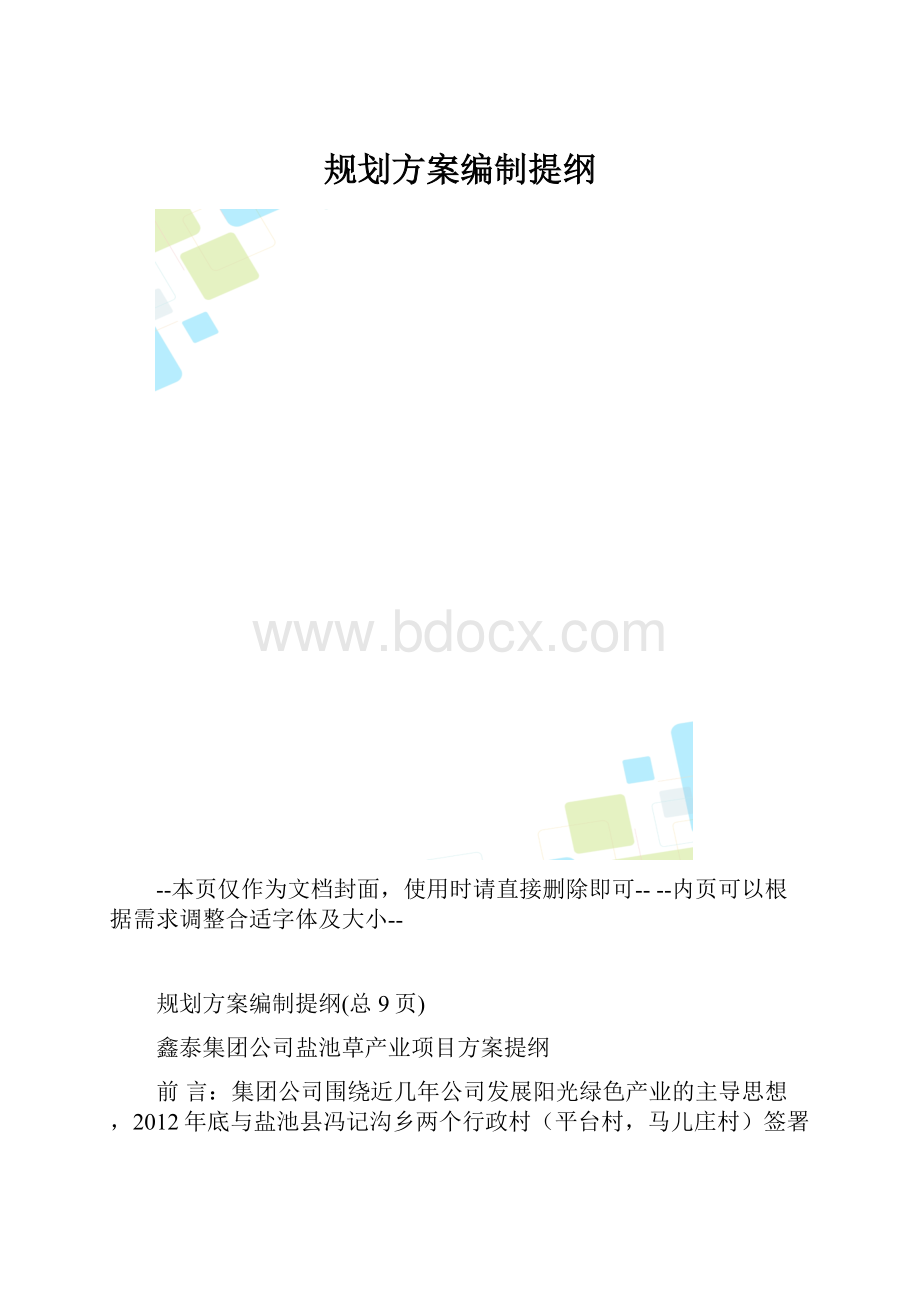 规划方案编制提纲.docx