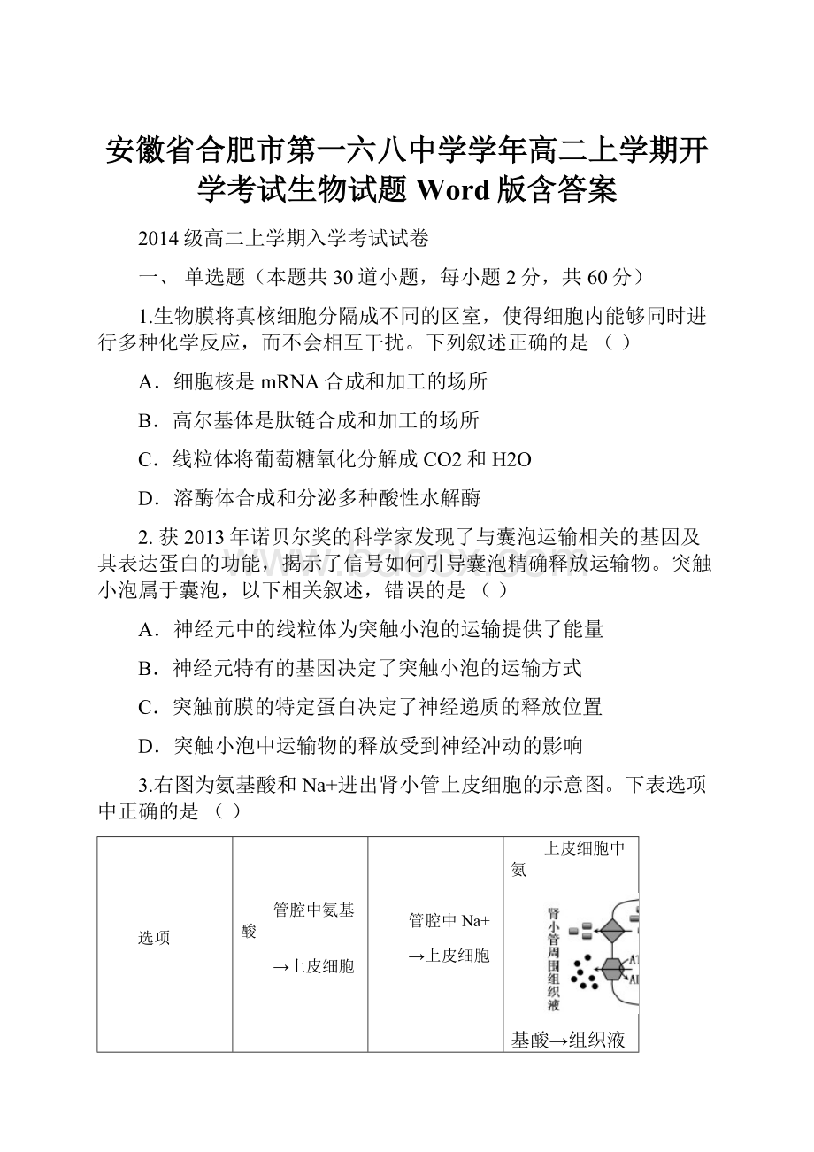 安徽省合肥市第一六八中学学年高二上学期开学考试生物试题 Word版含答案.docx