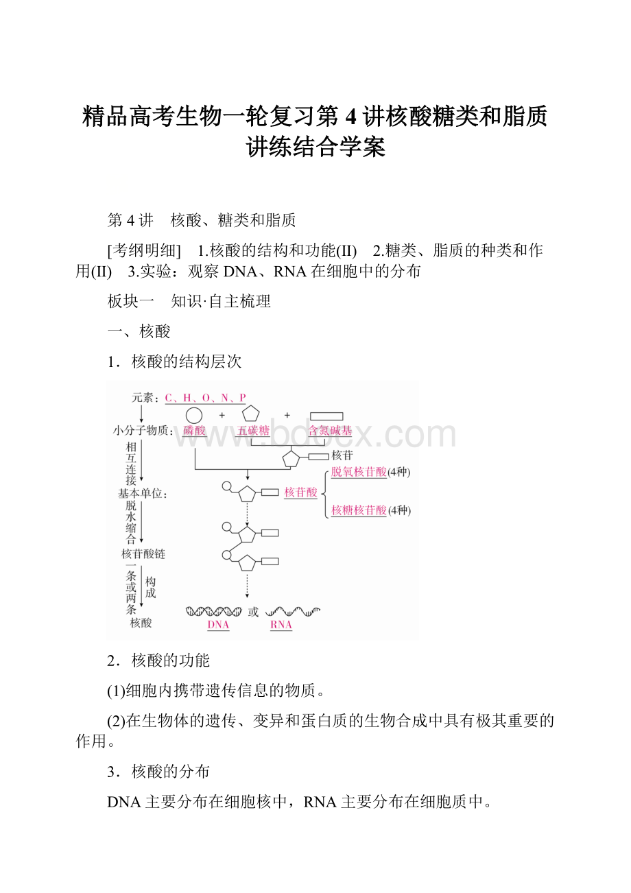 精品高考生物一轮复习第4讲核酸糖类和脂质讲练结合学案.docx