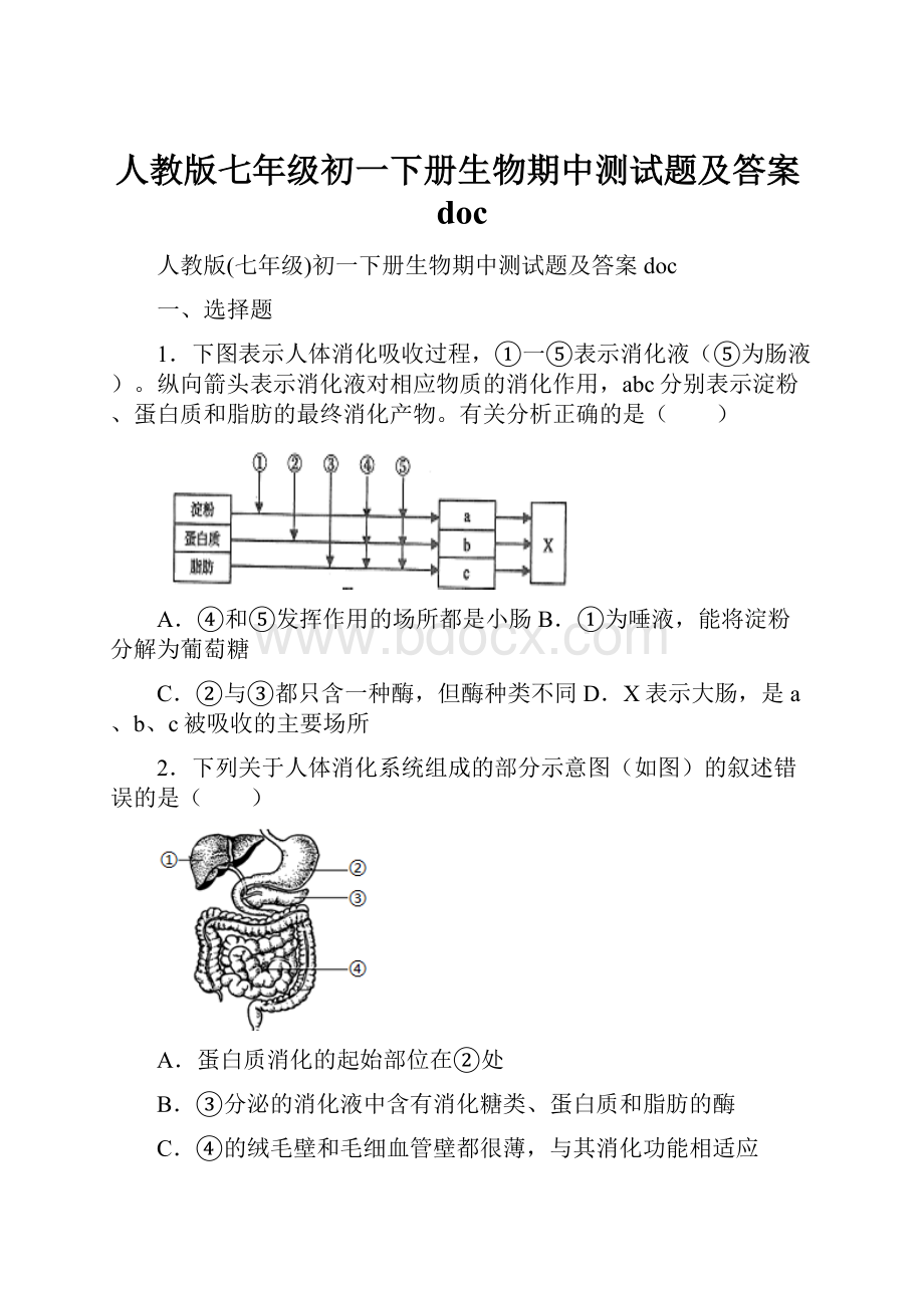 人教版七年级初一下册生物期中测试题及答案doc.docx_第1页