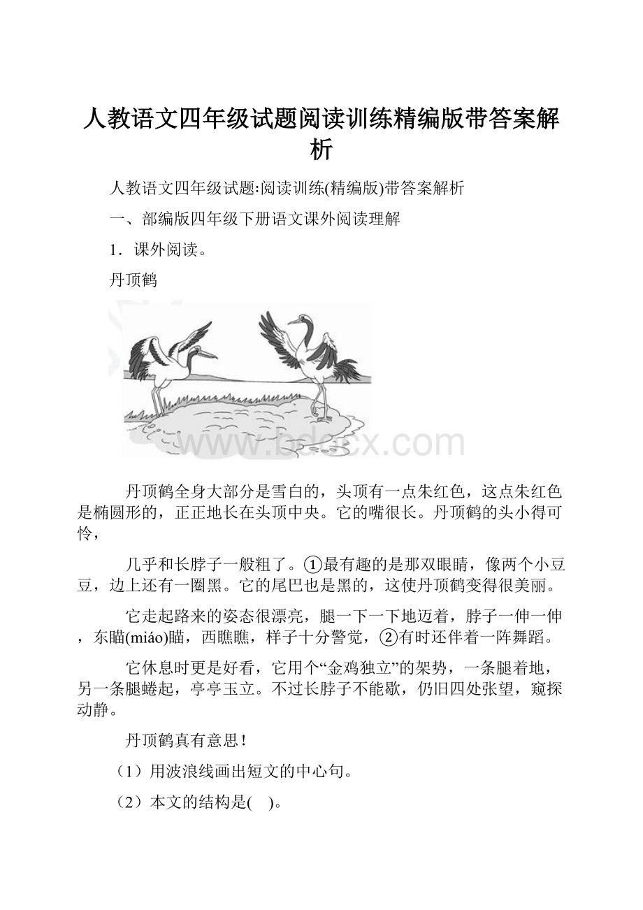 人教语文四年级试题阅读训练精编版带答案解析.docx