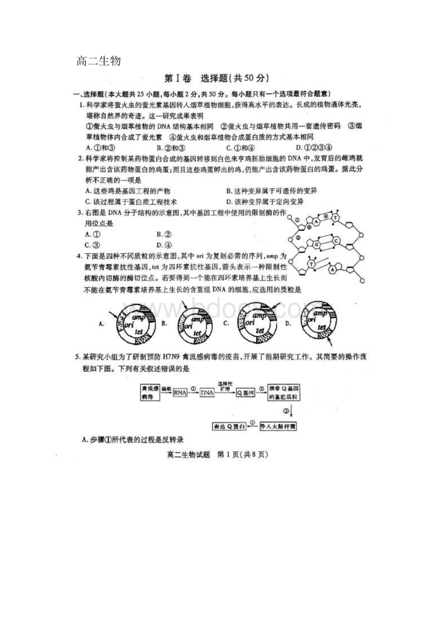 江苏省徐州市学年高二下学期期中抽测生物含参考答案.docx_第2页