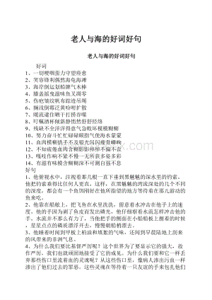 老人与海的好词好句.docx