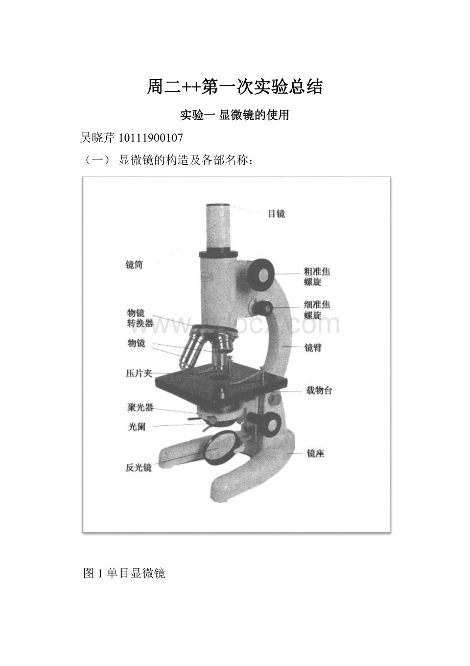 周二++第一次实验总结.docx