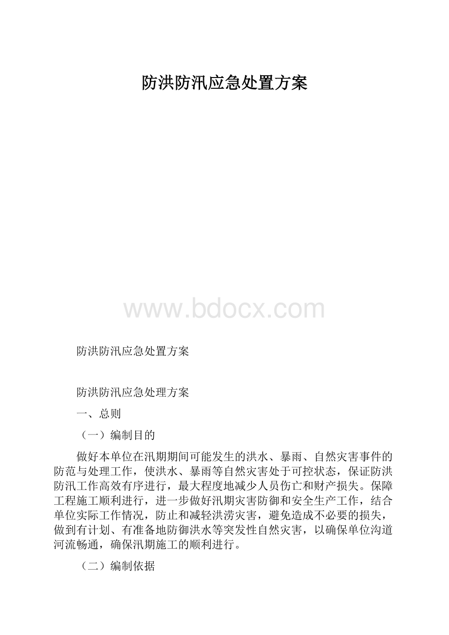 防洪防汛应急处置方案.docx