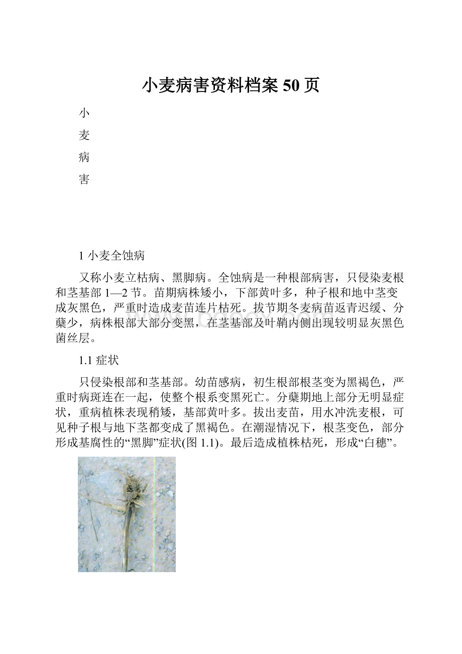 小麦病害资料档案50页.docx