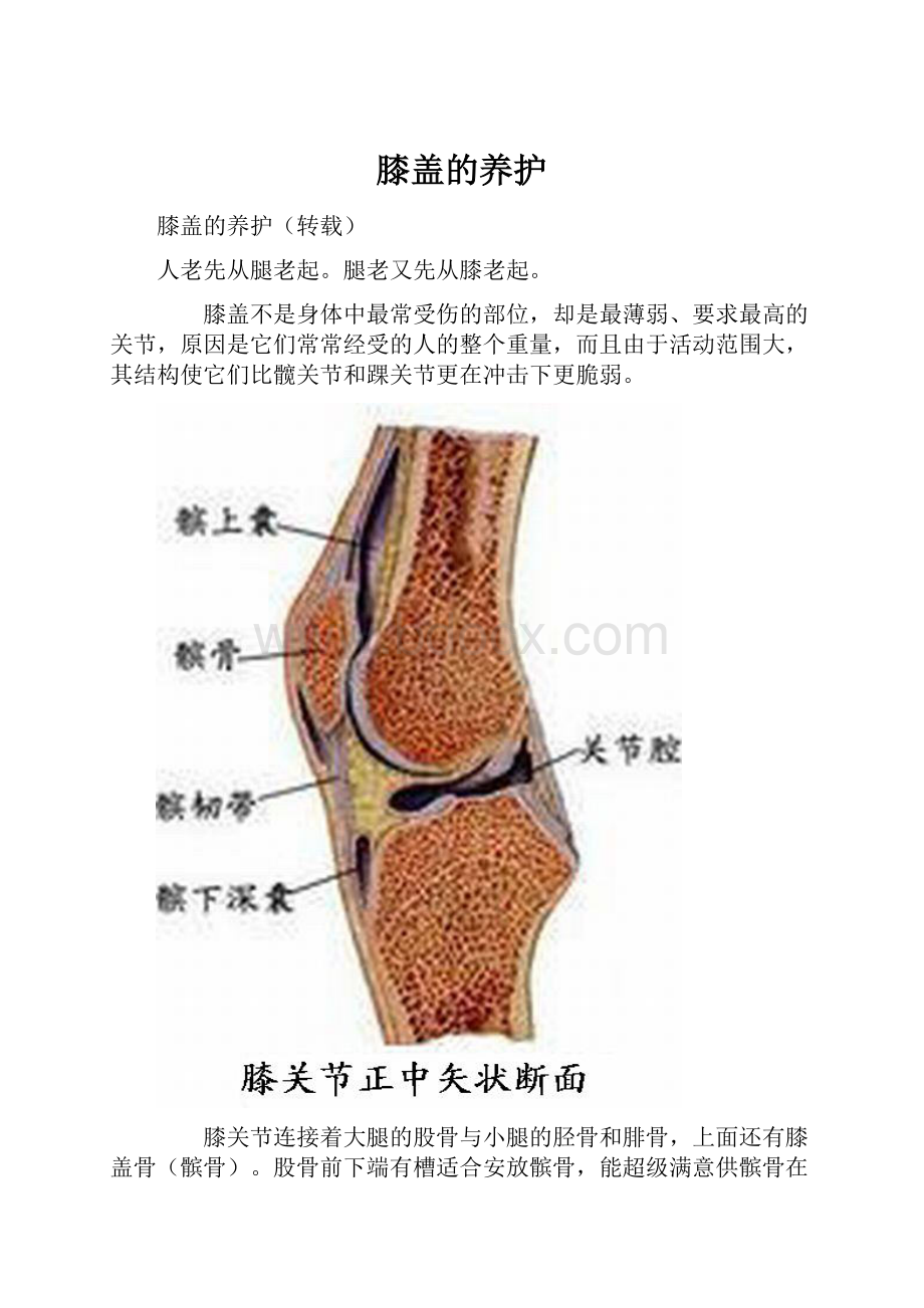 膝盖的养护.docx