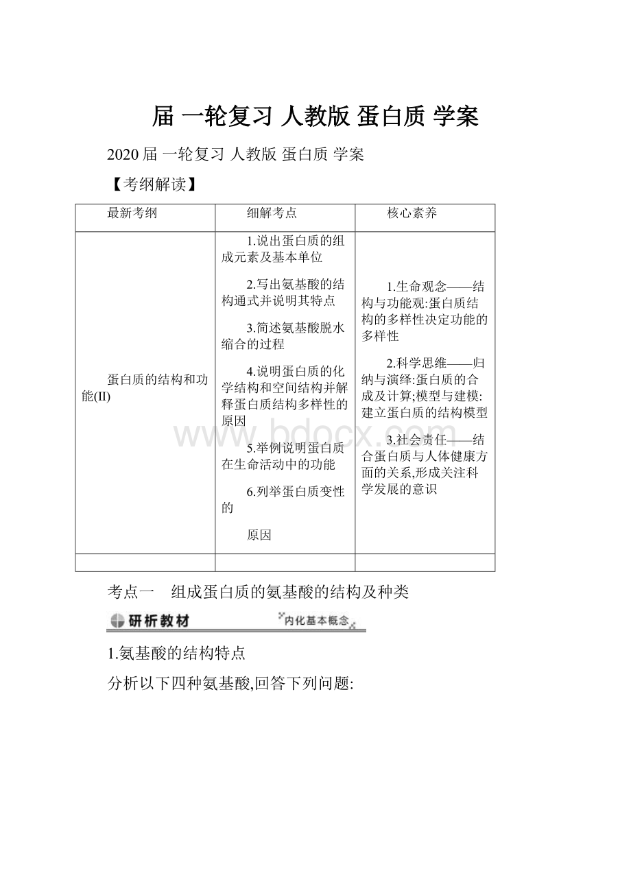 届 一轮复习 人教版 蛋白质 学案.docx