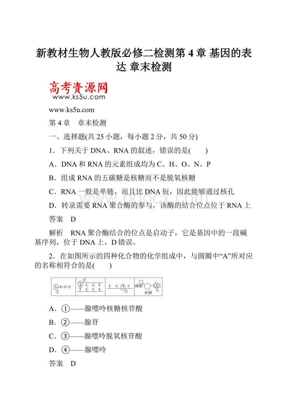 新教材生物人教版必修二检测第4章 基因的表达 章末检测.docx