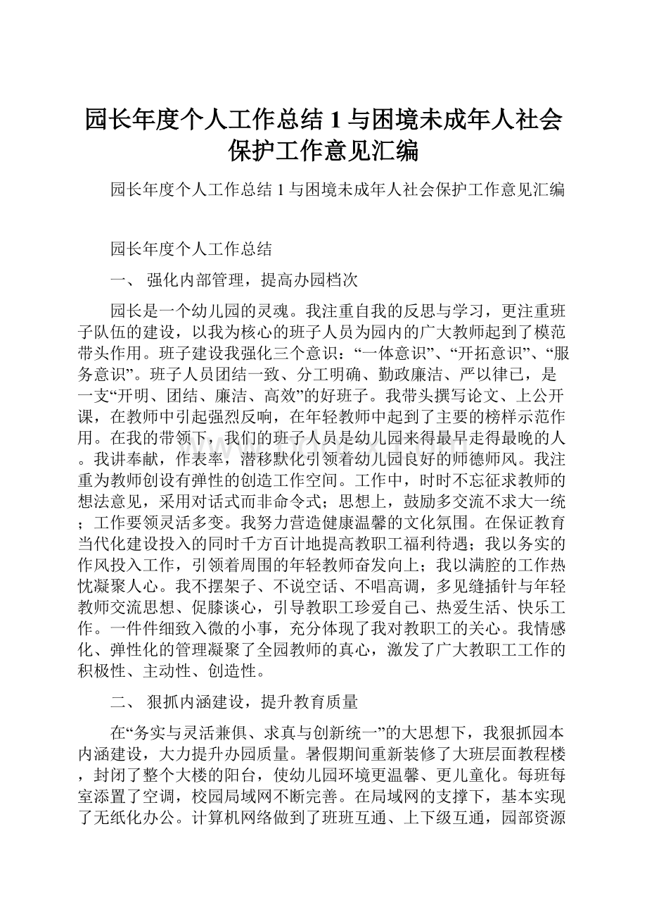 园长年度个人工作总结1与困境未成年人社会保护工作意见汇编.docx