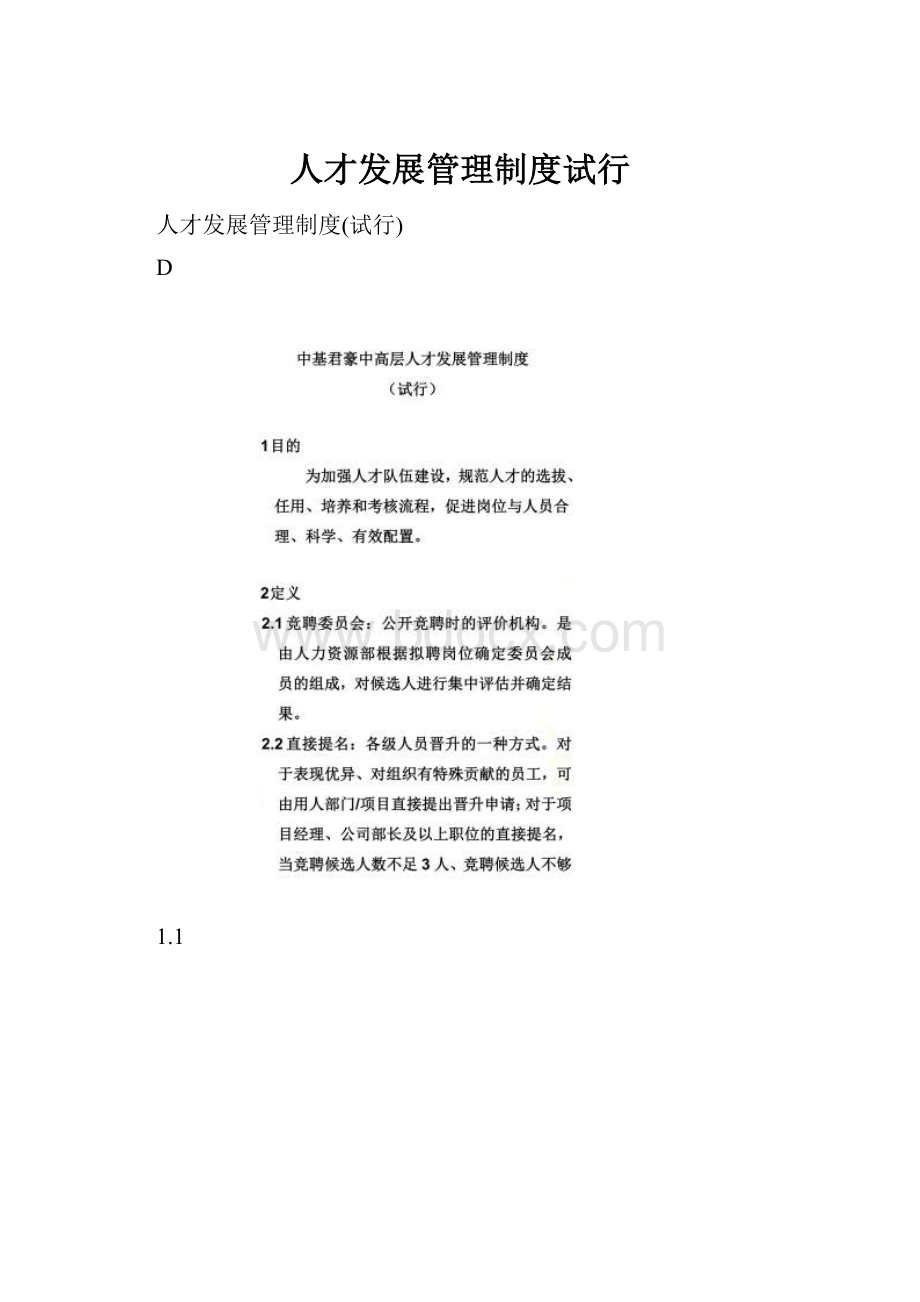 人才发展管理制度试行.docx