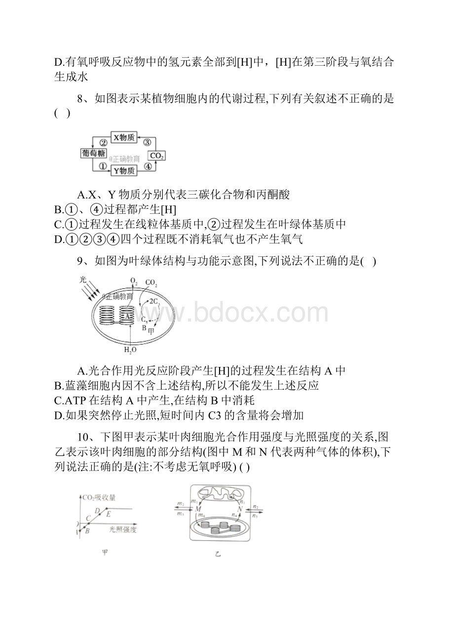 学年高中生物人教版必修一单元检测第五章 细胞的能量供应和利用 Word版含答案.docx_第3页