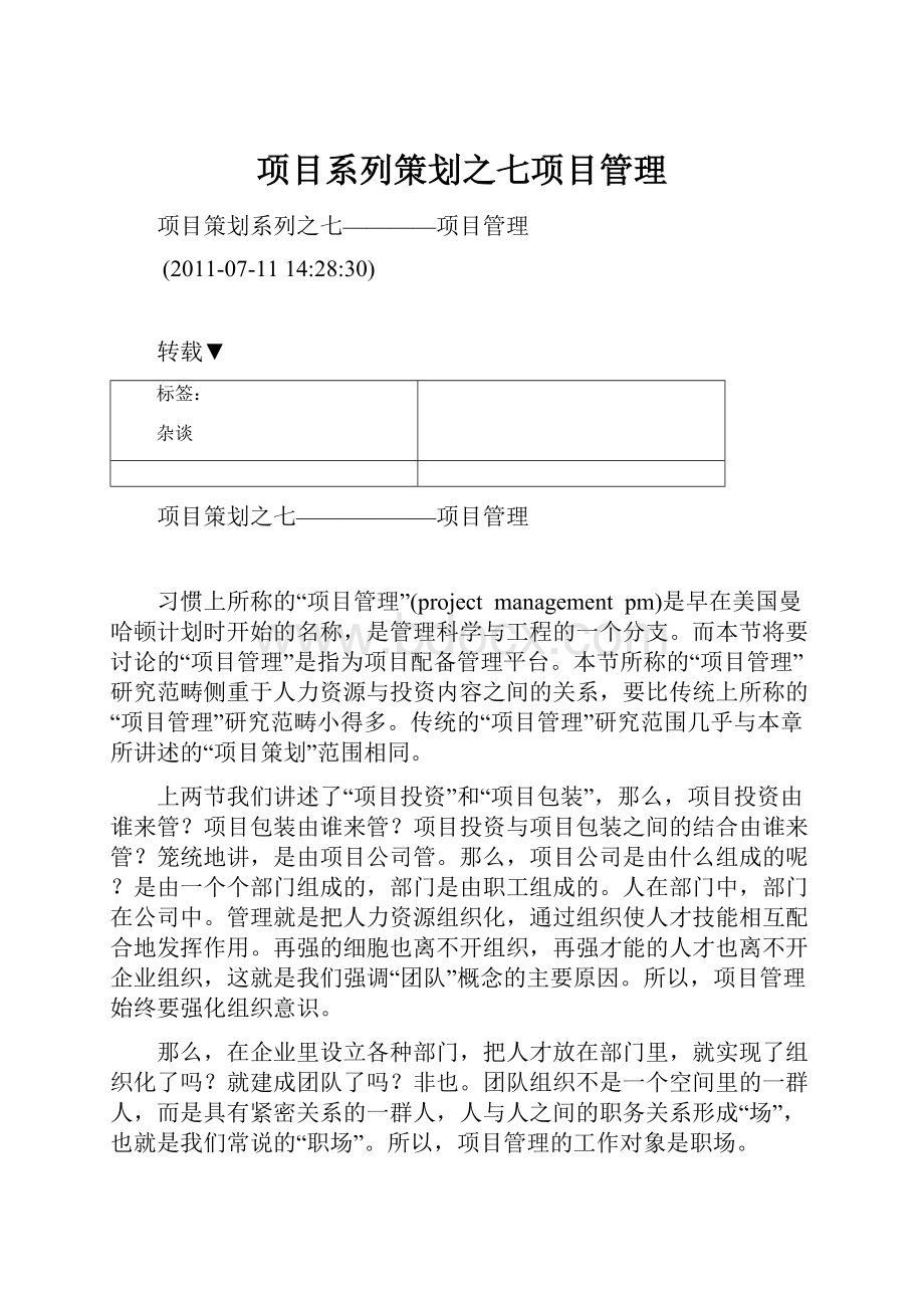 项目系列策划之七项目管理.docx