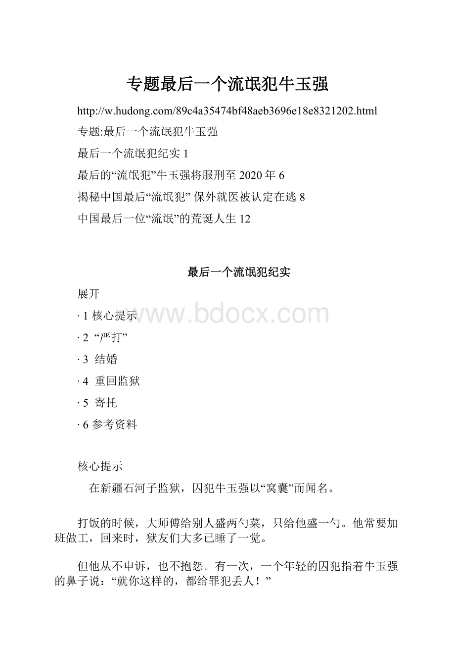 专题最后一个流氓犯牛玉强.docx_第1页