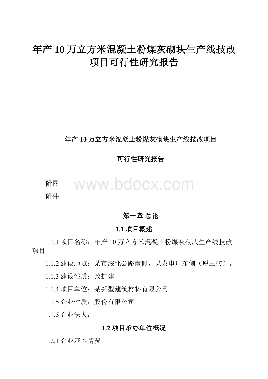 年产10万立方米混凝土粉煤灰砌块生产线技改项目可行性研究报告.docx