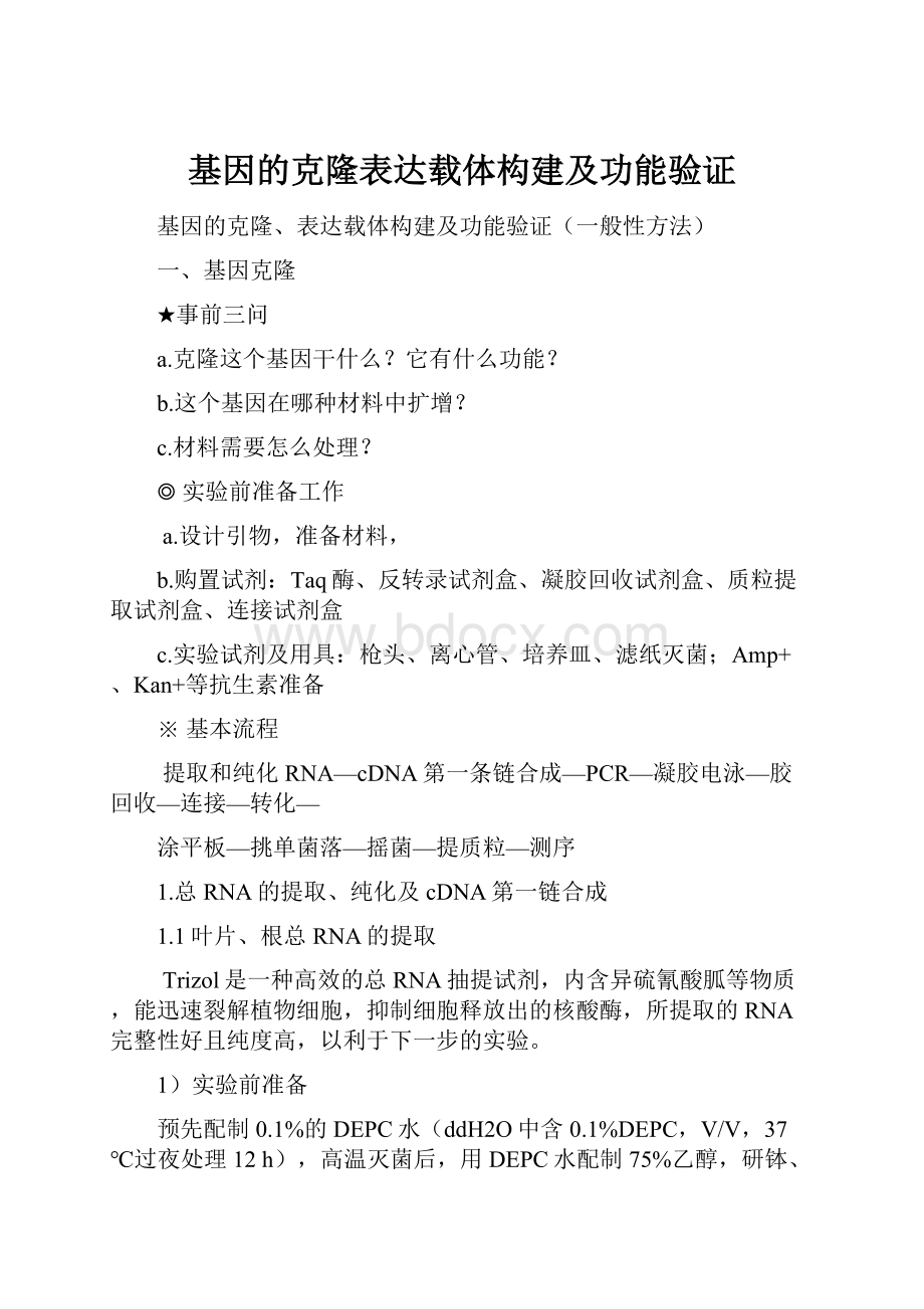 基因的克隆表达载体构建及功能验证.docx_第1页