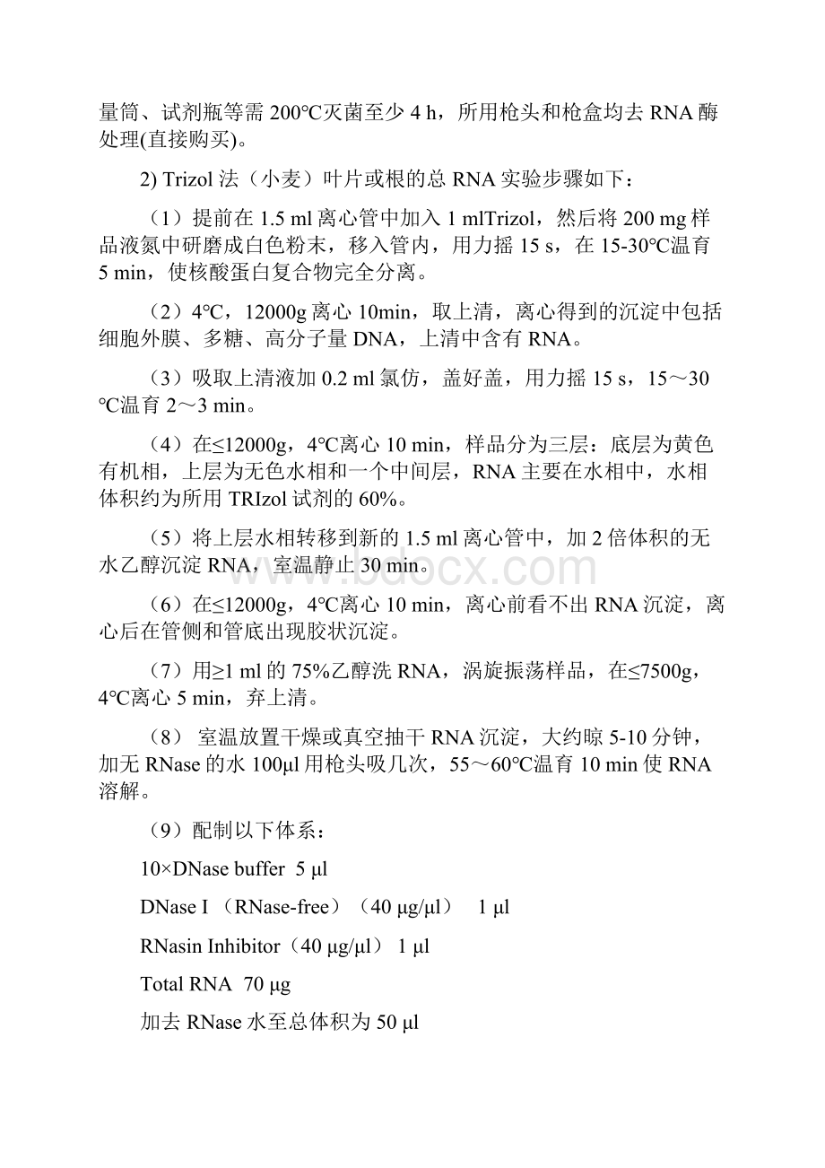 基因的克隆表达载体构建及功能验证.docx_第2页