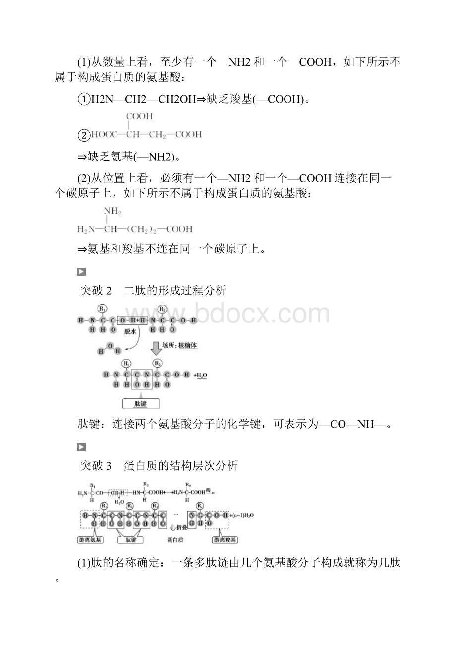 全国版高考生物大一轮复习第一单元细胞的分子组成第3讲生命活动的主要承担者蛋白质学案.docx_第3页