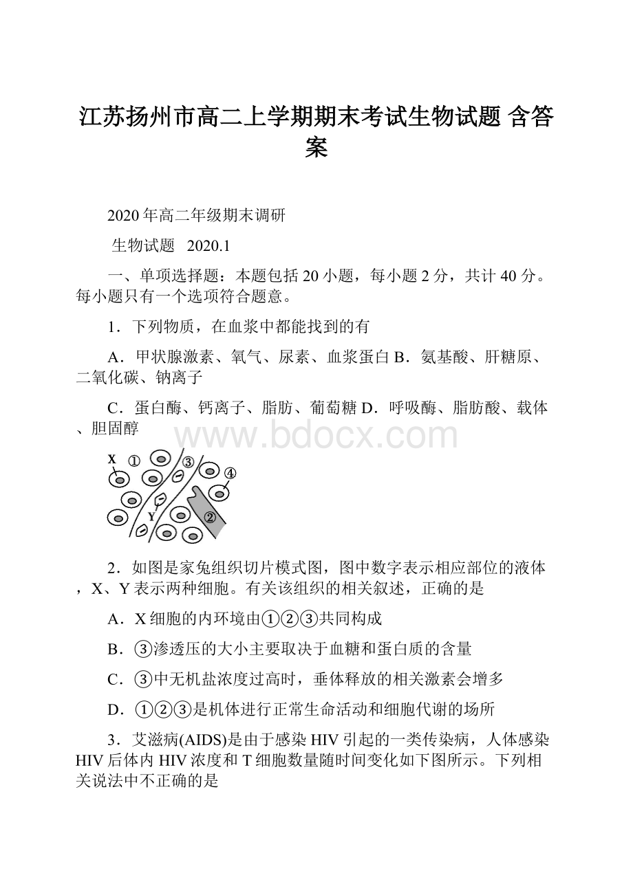 江苏扬州市高二上学期期末考试生物试题 含答案.docx