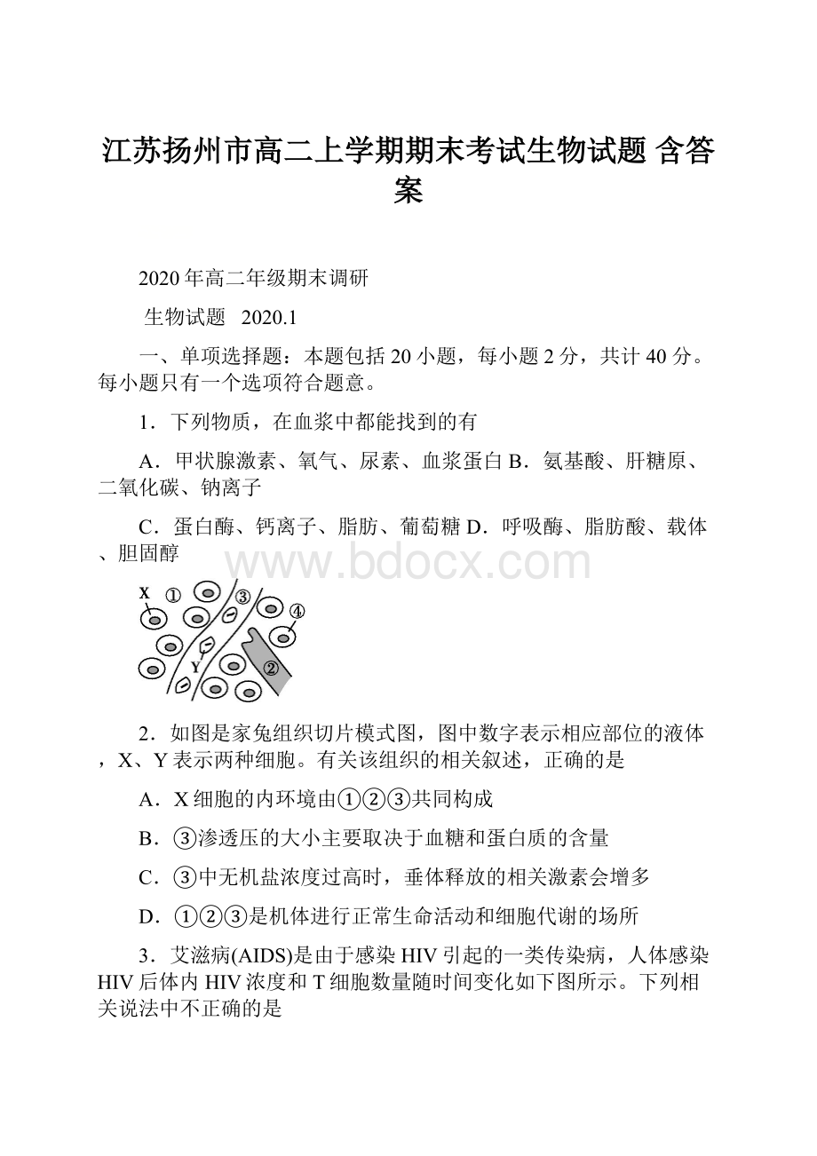 江苏扬州市高二上学期期末考试生物试题 含答案.docx_第1页