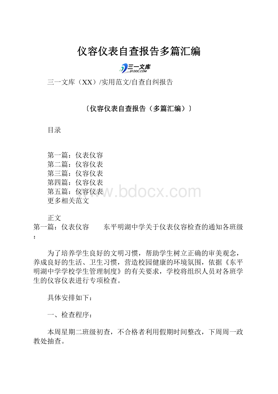 仪容仪表自查报告多篇汇编.docx