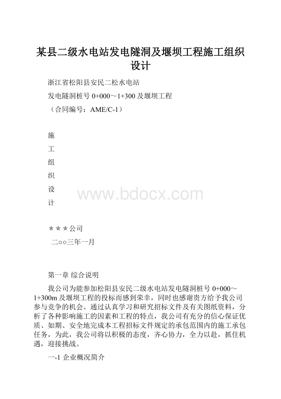 某县二级水电站发电隧洞及堰坝工程施工组织设计.docx_第1页