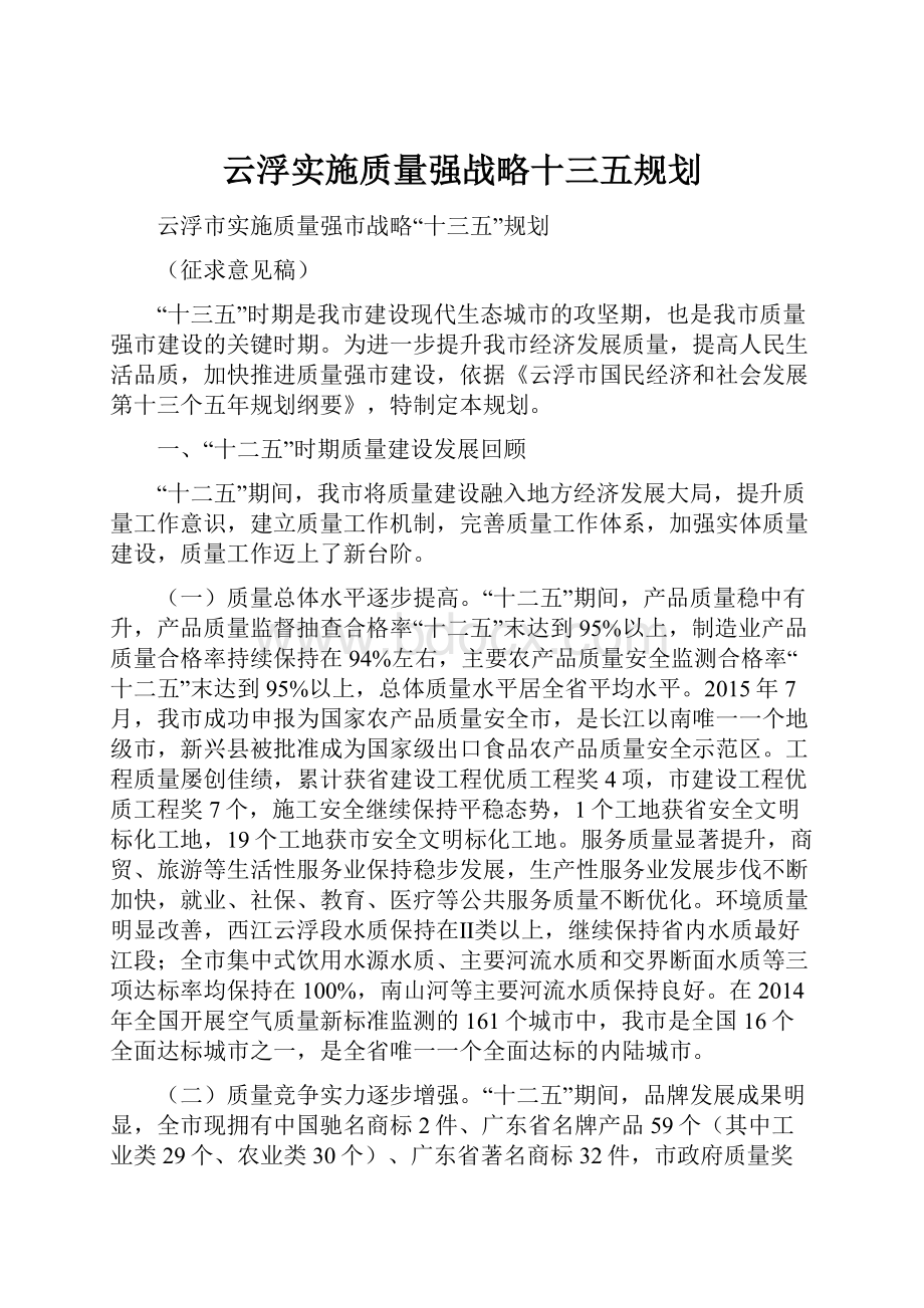 云浮实施质量强战略十三五规划.docx