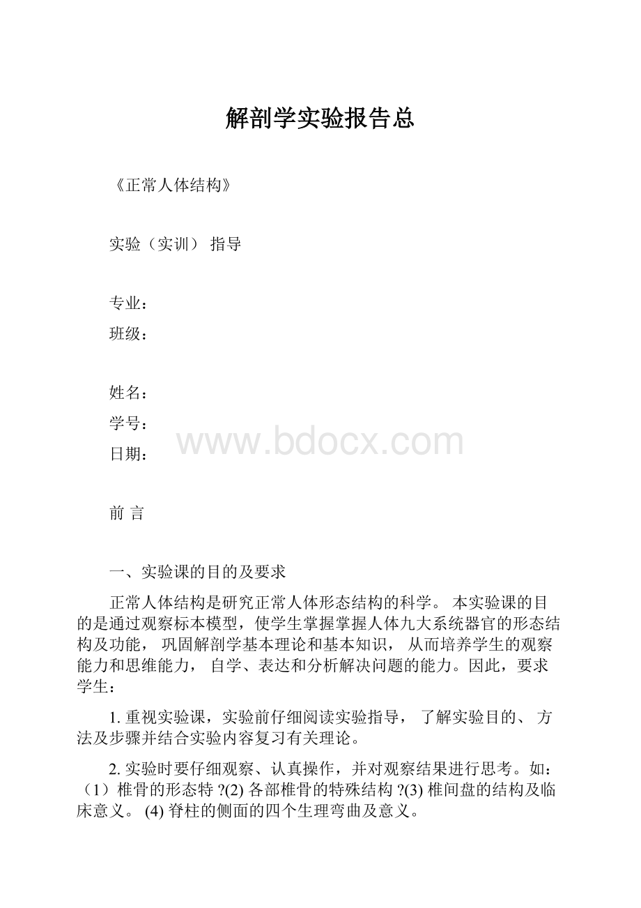 解剖学实验报告总.docx_第1页